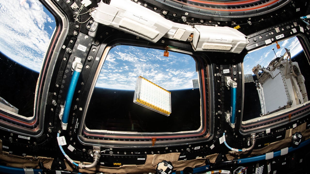 iss058e002051_PCG13_Kristopher-Gonzalez-DeWhitt-1