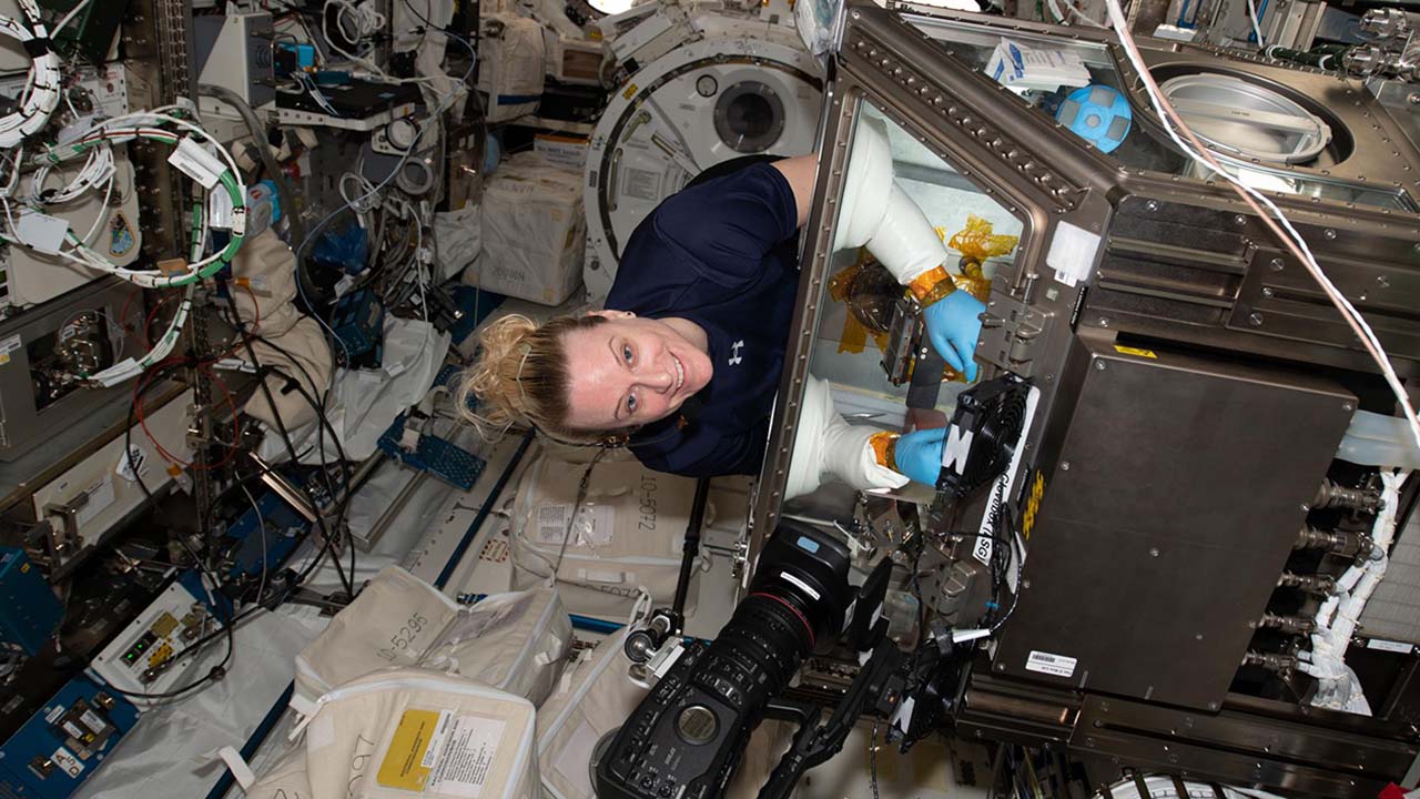 kate-microbial-swab-glovebox