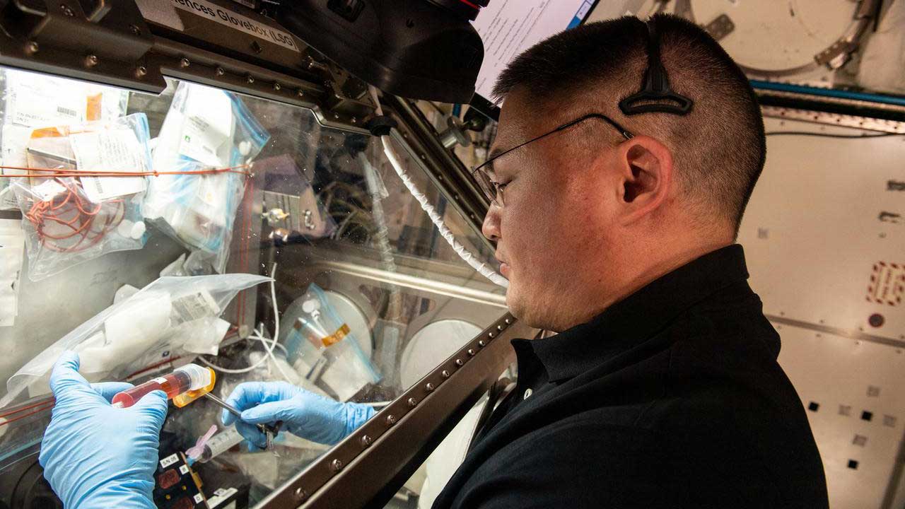 kjell-Immunosenescence-glovebox. NASA astronaut Kjell Lindgren processes samples inside the Life Science Glovebox for the Immunosenescence space biology study