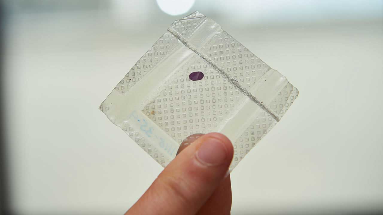 lambdavision-retina-chip LambdaVision’s tiny protein-based retinal implant.