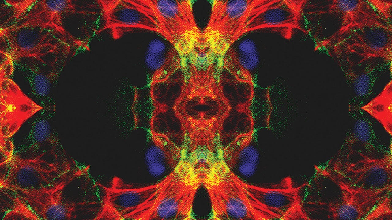 microgravity-cardiac-cell-upward-hook