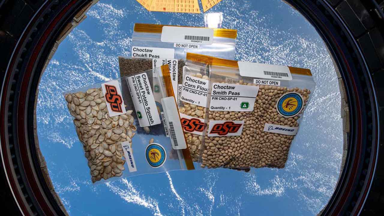 stem-research-choctaw-seeds-cupola Five varieties of Choctaw heirloom seeds shown here onboard the ISS will spend months in microgravity before being returned to Earth.