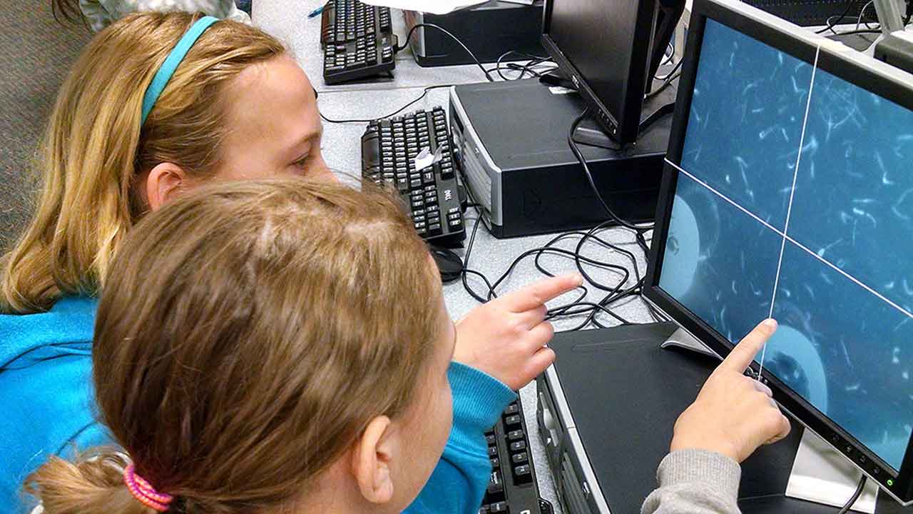 stem-research-orions-quest