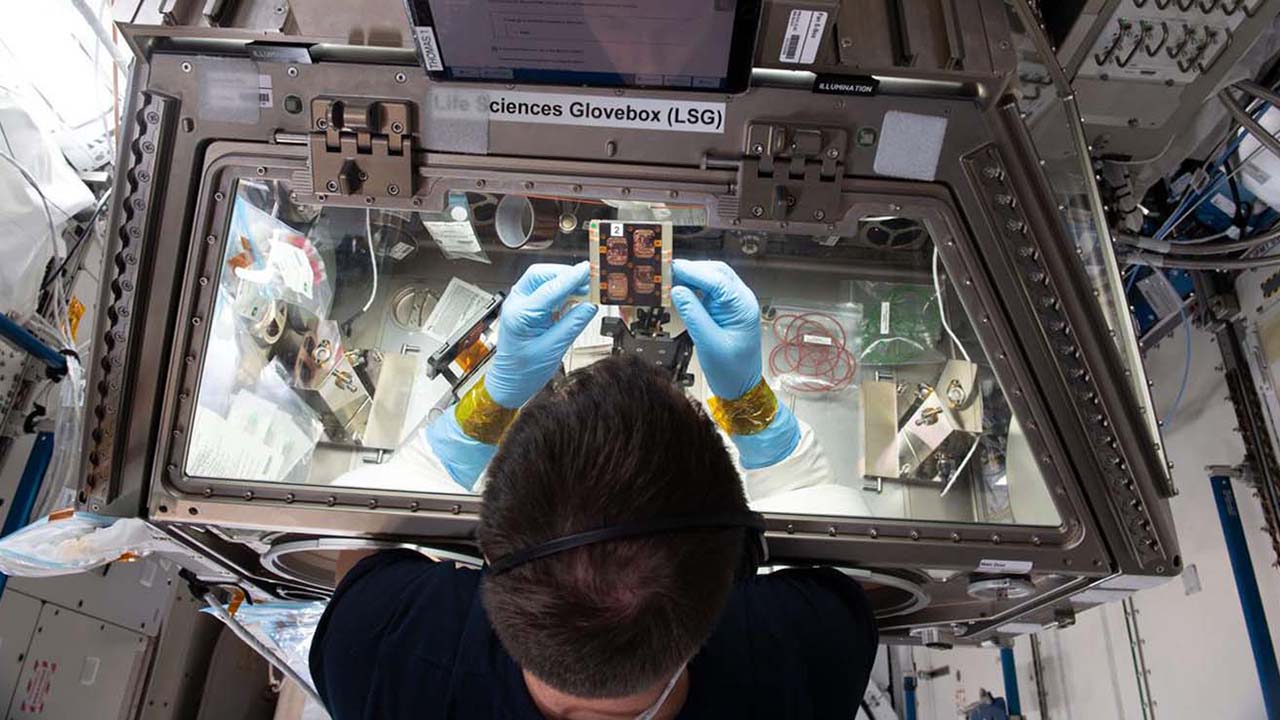 thomas-cardinalmuscle-ar2022 European Space Agency astronaut and Expedition 65 Flight Engineer Thomas Pesquet works on the Cardinal Muscle investigation in the Life Sciences Glovebox aboard the International Space Station