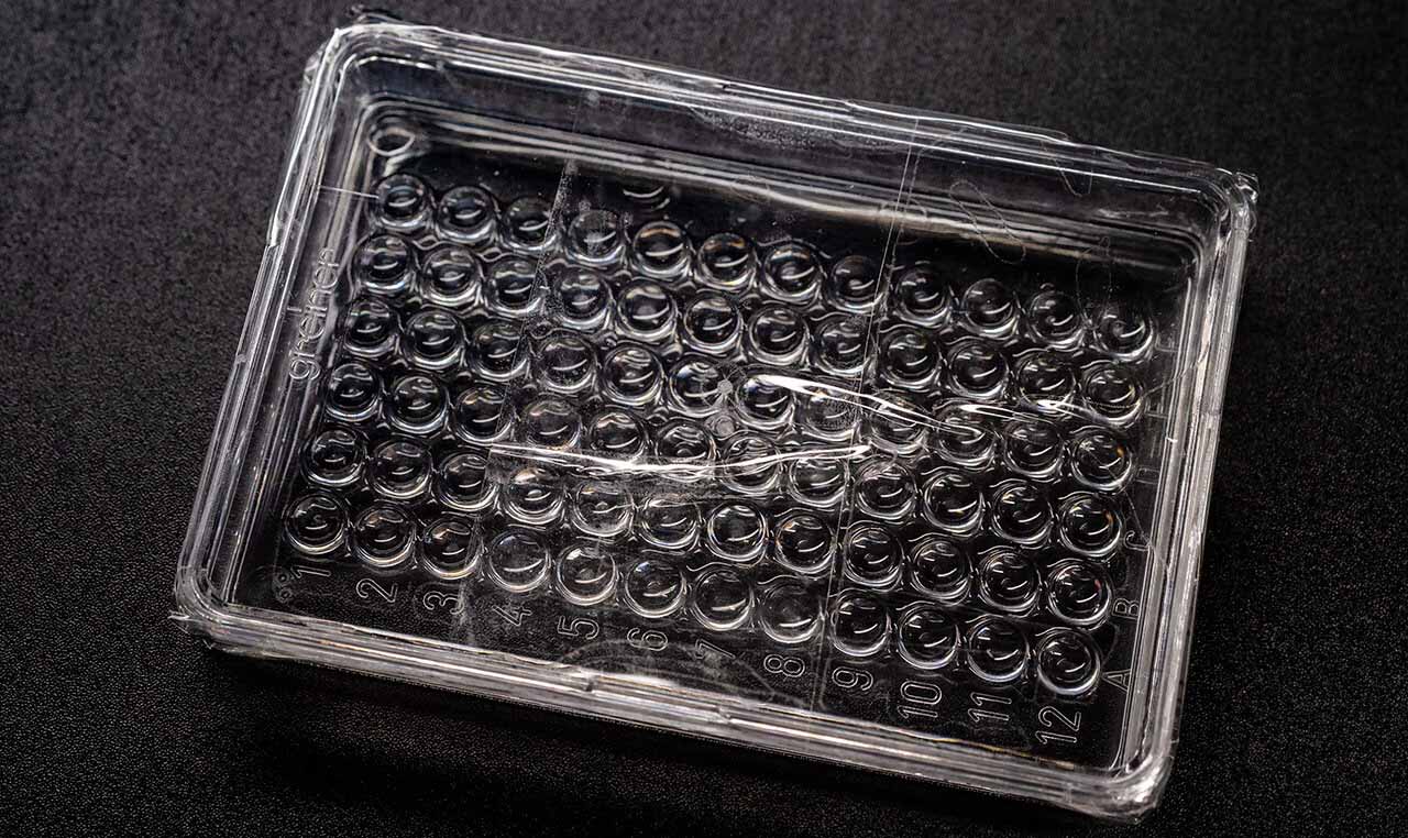 upward-samples-72welltray KRAS protein crystallization samples in a 72-well tray