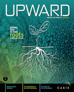 Upward Volume 1 Issue 1