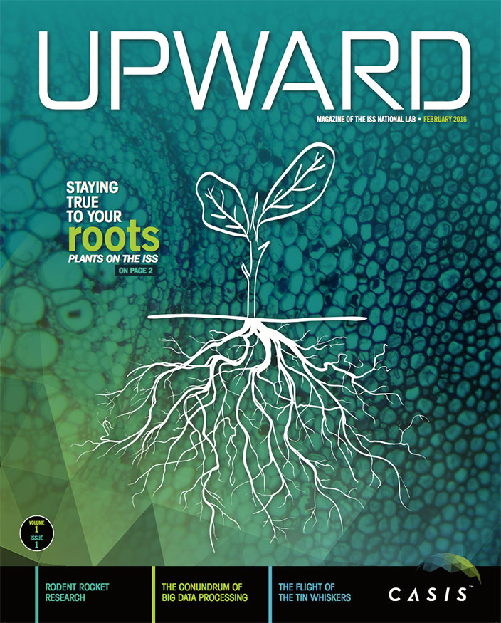 Upward Volume 1 Issue 1