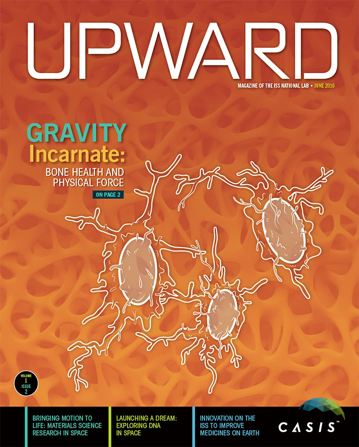 upward Volume 1 Issue 2 Cover