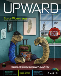 Upward Volume 3, Issue 2 Cover