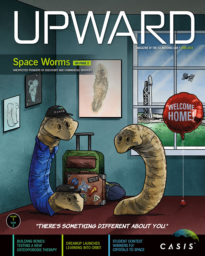 Upward Volume 3, Issue 2 Cover