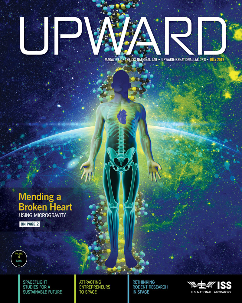Upward Volume 4, Issue 1 Cover