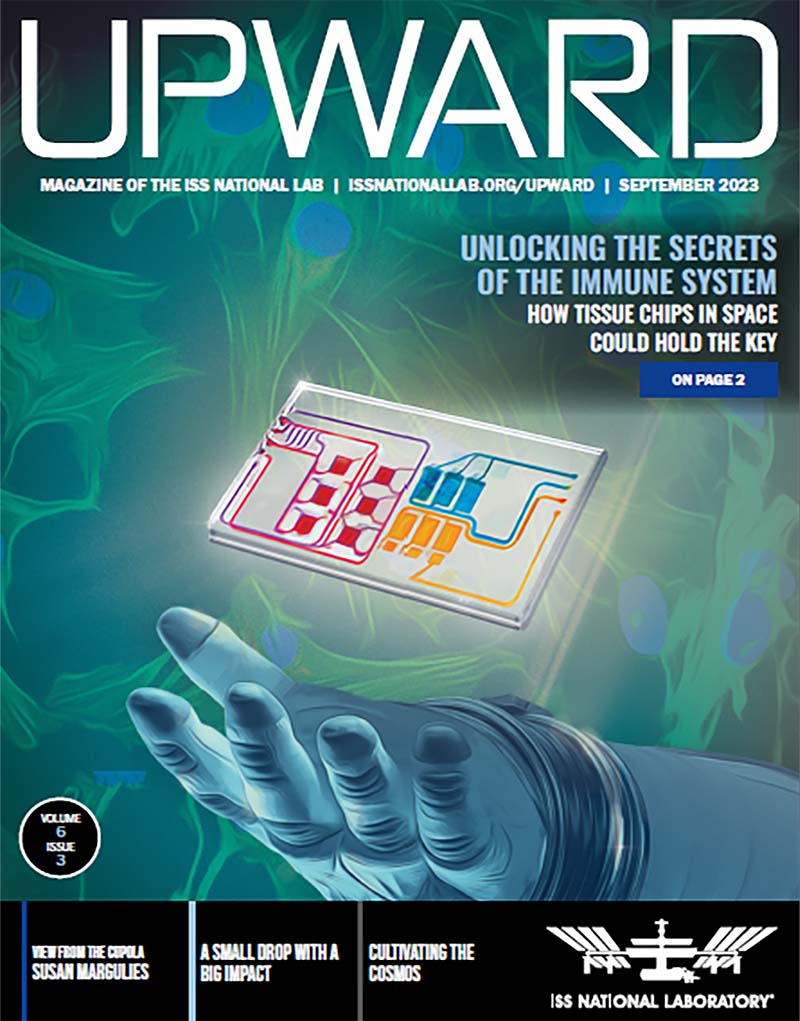 Upward Volume 6, Issue 3 Cover
