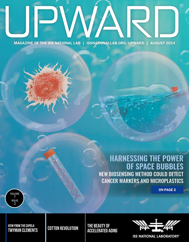 Upward Volume 7, Issue 2 Cover