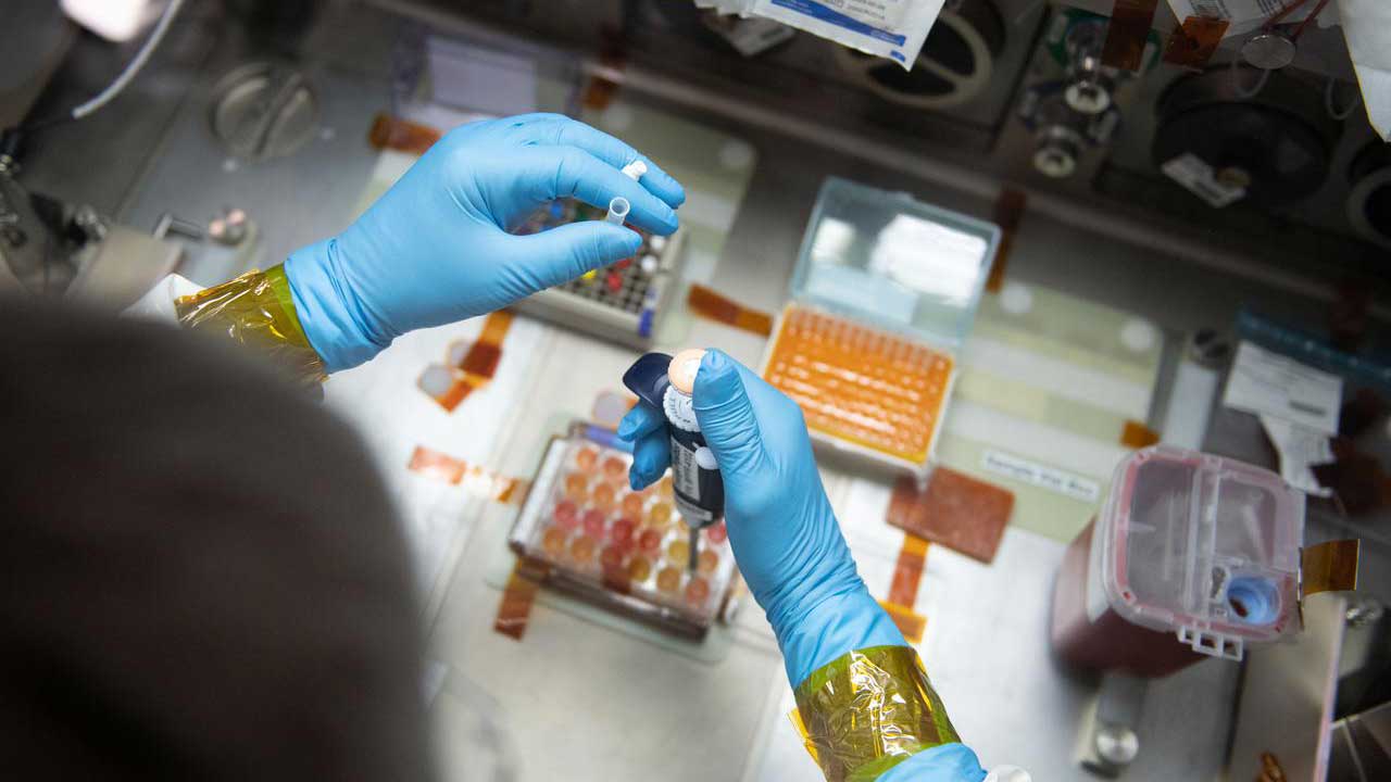 vandehei-life-science-elestial-immunity NASA astronaut Mark Vande Hei works inside the Life Science Glovebox (LSG) for the Celestial Immunity study that may provide insights into new vaccines and drugs possibly advancing the commercialization of space.