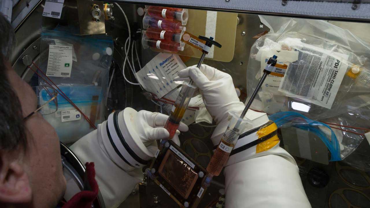 whitson-gene-expression-osteomics A view inside the Microgravity Sciences Glovebox (MSG) where Commander Peggy Whitson works to change the media in a BioCell for the OsteoOmics experiment.