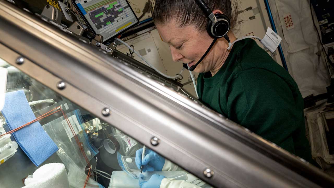 NASA astronaut and Expedition 71 Flight Engineer Tracy C. Dyson cleans the inside of the Life Science Glovebox located aboard the International Space Station's Kibo laboratory. Dyson had earlier completed stem cell research operations exploring ways to advance cellular manufacturing and improve human health.