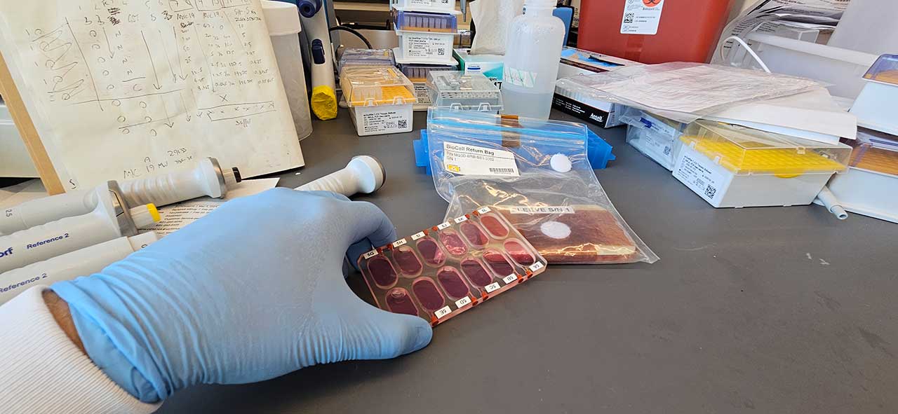A BioCell Return Bag from the ISS containing plates used to grow cells. The cells are being analyzed to identify differences between cancer cells cultured in space versus those cultured on Earth.