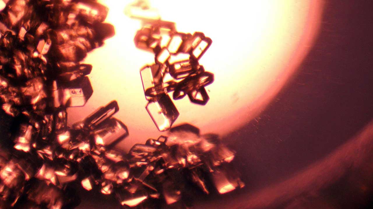 AR24-investor Glycine crystals grown with Redwire's PIL-BOX aboard the International Space Station. This image was taken after the crystals returned to Earth in April 2024.