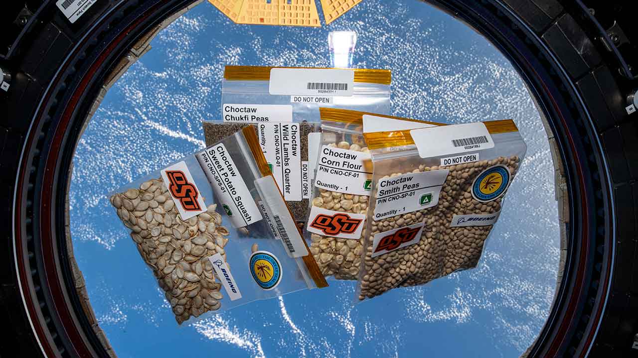 AR24-stem-workforce-dev Five varieties of seeds provided by the Choctaw Nation of Oklahoma were pictured inside the cupola on Nov. 21, 2023, as the International Space Station orbited 260 miles above the Atlantic Ocean
