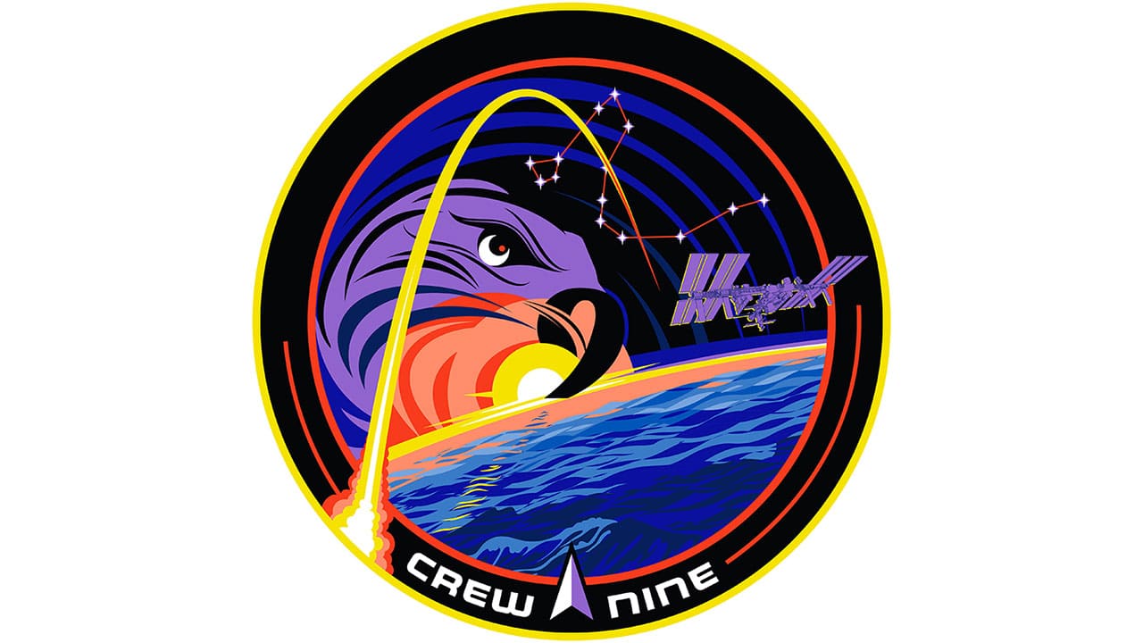 The Crew-9 mission patch features a rocket trail to the ISS, coastal waves, a falcon symbolizing the Falcon 9 rocket, the Draco constellation for the Dragon spacecraft, and the Delta symbol, representing global collaboration and space exploration heritage.