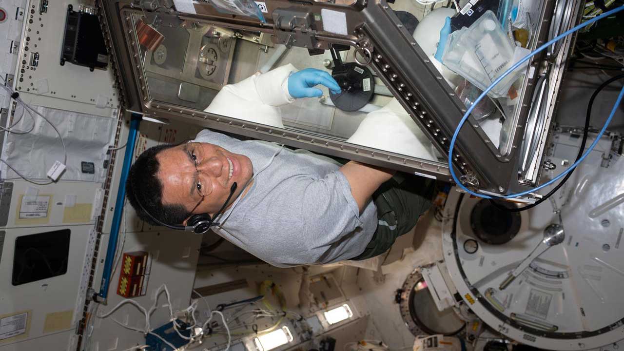 frank-rubio-stem-cells-mgb NASA astronaut and Expedition 69 Flight Engineer Frank Rubio works in the Kibo laboratory module's Life Sciences Glovebox servicing stem cell samples for the StemCellEX-H Pathfinder study. The biotechnology investigation seeks to improve therapies for blood diseases and cancers such as leukemia.
