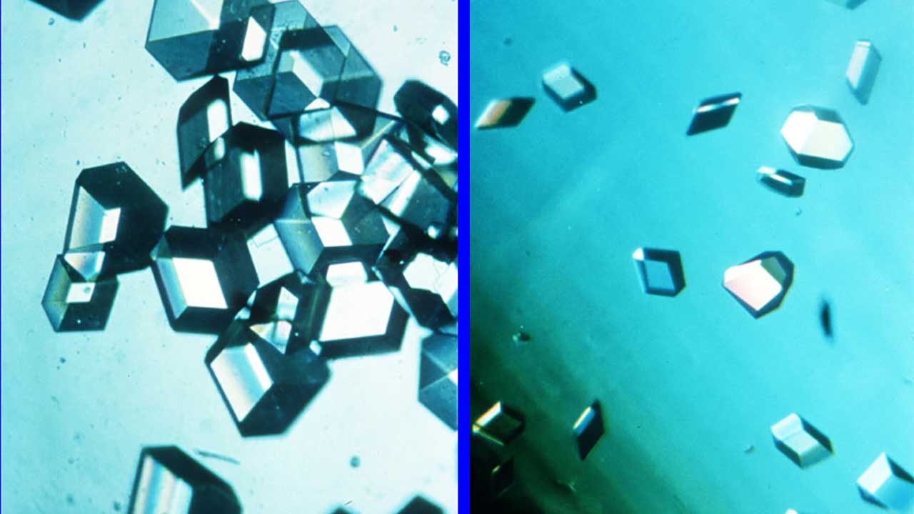 crystal-growth-industrial-crystallization The comparison of protein crystal, Recombiant Human Insulin; space-grown (left) and earth-grown (right).